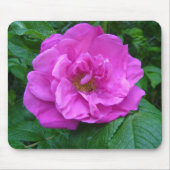 roze, paarse rozen bloem muismat (Voorkant)