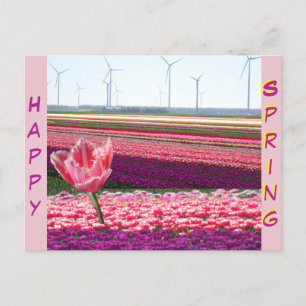 Roze Paarse Tulps Field Happy Spring Briefkaart