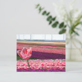 Roze Paarse Tulps Field & Roze Tulp DIY Briefkaart (Staand voorkant)