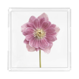 Roze Paarse ventilator Acryllade Acryl Dienblad