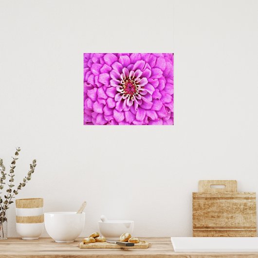 Roze Paarse ventilator Petal Burst Fotografische K Poster (Keuken)