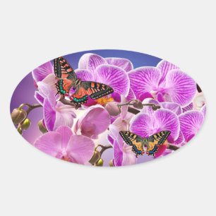 Roze paarse vlinder orchidee bloem waterverf ovale sticker