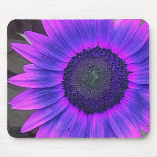 Roze Paarse zonnebloem 2 mousepad Muismat (Voorkant)