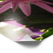  roze paascactuons bloemen foto afdruk (Hoek)