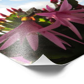  roze paascactuons bloemen foto afdruk (Hoek)