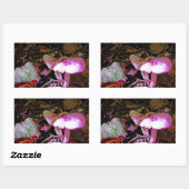 Roze paddenstoel rechthoekige sticker (Vel)
