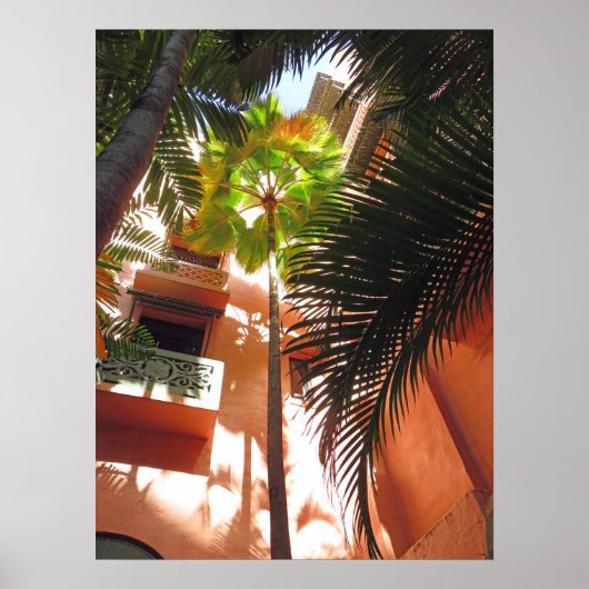 Roze paleis poster (Voorkant)