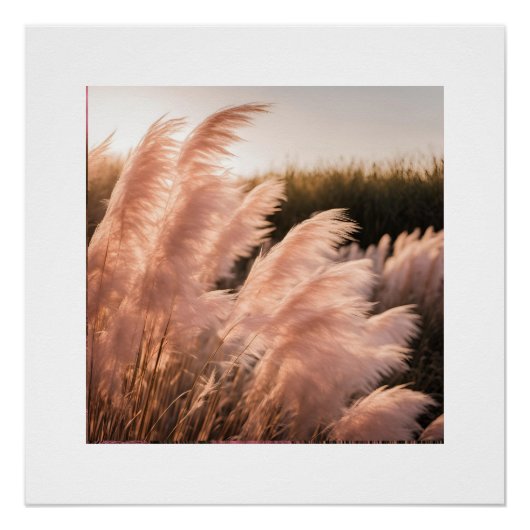 Roze Pam-pass esthetisch Perfect Poster (Voorkant)