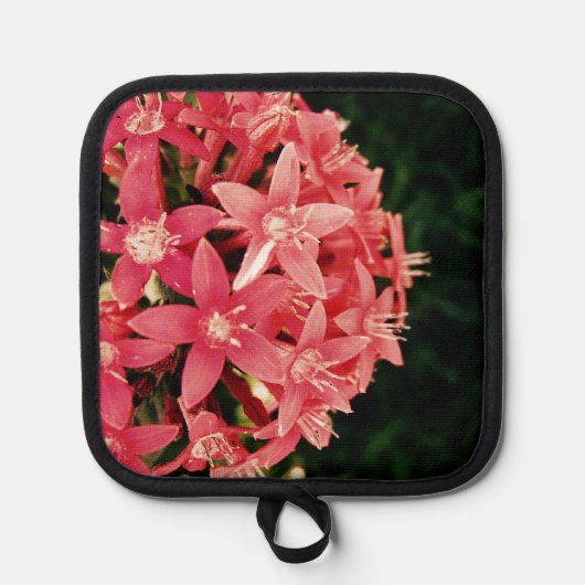 Roze Pannenlap (Voorkant)