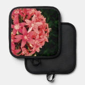 Roze Pannenlap (Voorkant / Achterkant)
