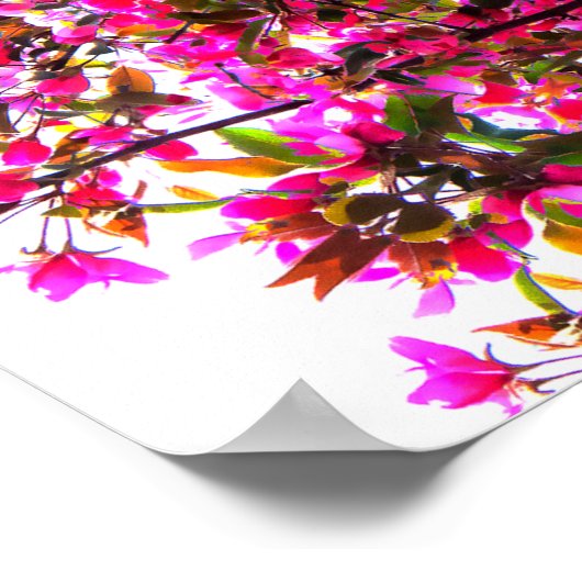 Roze panoramisch Mandala Poster (Hoek)