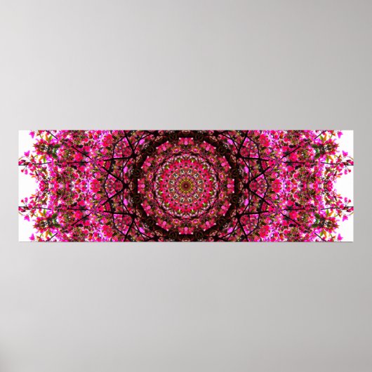 Roze panoramisch Mandala Poster (Voorkant)