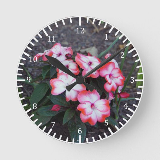 Roze Pansieklok Ronde Klok (Voorkant)
