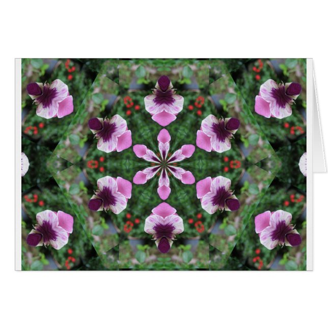 Roze Pansy (Voorkant Horizontaal)