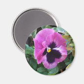 Roze Pansy Magnet (Voorkant / Achterkant)