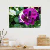 Roze Pansy Soft Sketch Poster (Keuken)