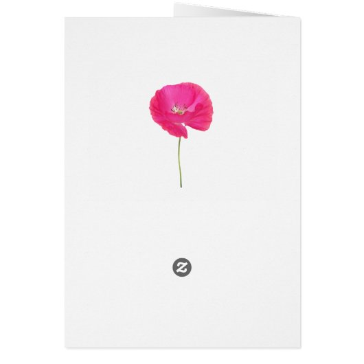 roze papaver (Achterkant)