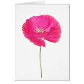 roze papaver (Voorkant)