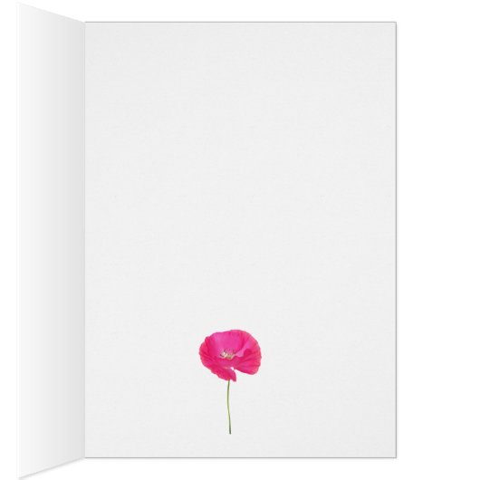 roze papaver (Binnen (Rechts))