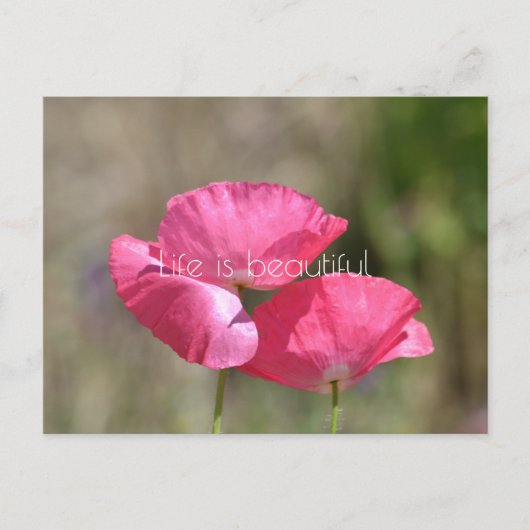 Roze papaver briefkaart (Voorkant)