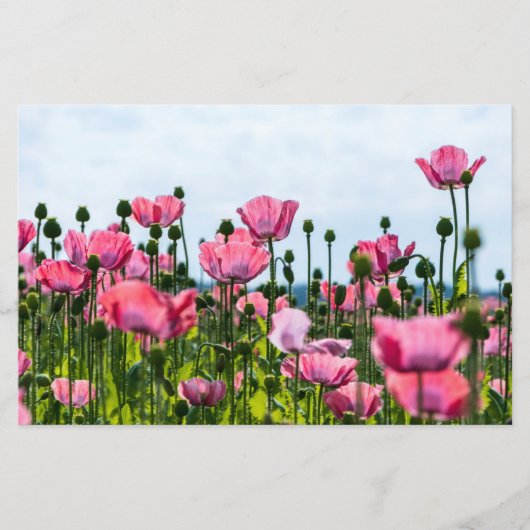 Roze papaver briefpapier (Voorkant)