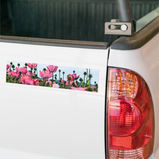 Roze papaver bumpersticker (Op Truck)