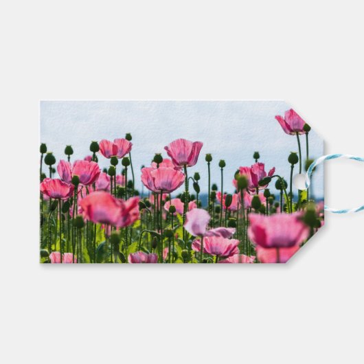 Roze papaver cadeaulabel (Voorkant (Horizontaal))