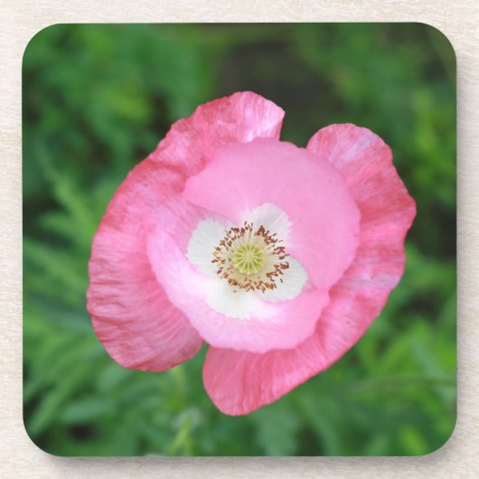 Roze papaver drankjes onderzetter (Voorkant)