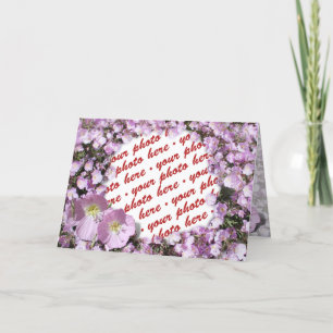 Roze papaver Foto Lijst Kaart