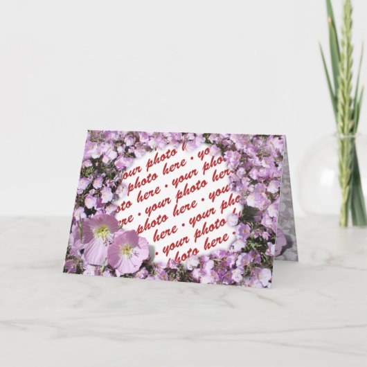 Roze papaver Foto Lijst Kaart (Voorkant)