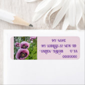 Roze papaver foto's Retouradreslabels Etiket (Insitu)