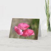 Roze papaver kaart (Voorkant)