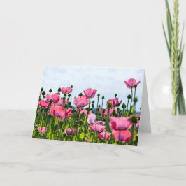Roze papaver kaart