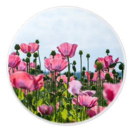 Roze papaver keramische knop