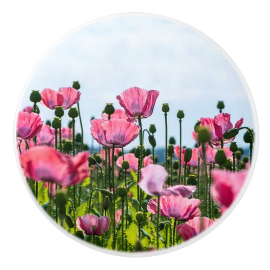 Roze papaver keramische knop (Voorkant)