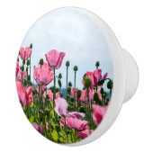 Roze papaver keramische knop (Rechts)