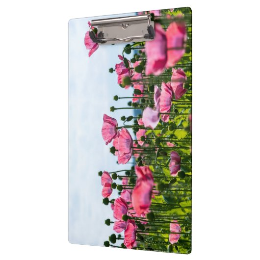 Roze papaver klembord (Links)