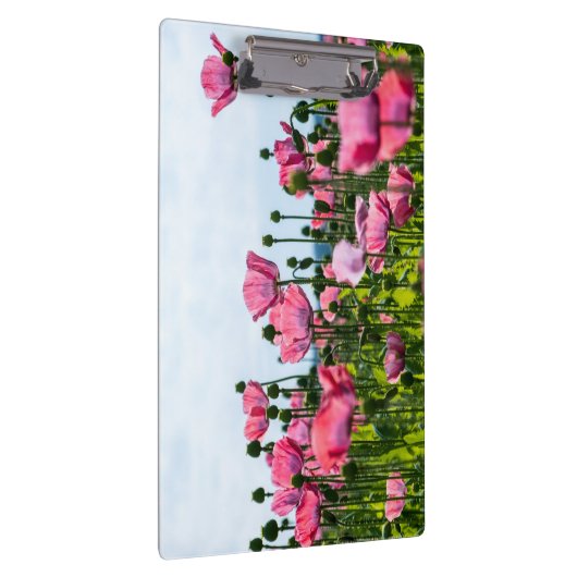 Roze papaver klembord (Rechts)