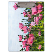 Roze papaver klembord (Voorkant)