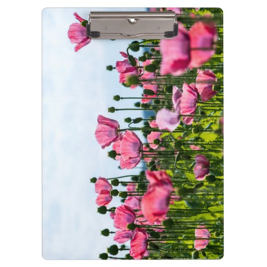 Roze papaver klembord (Voorkant)