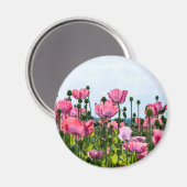Roze papaver magneet (Voorkant / Achterkant)