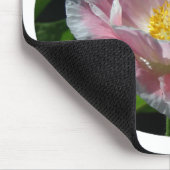 Roze papaver muismat (Hoek)