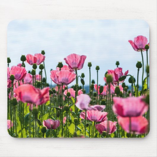 Roze papaver muismat (Voorkant)