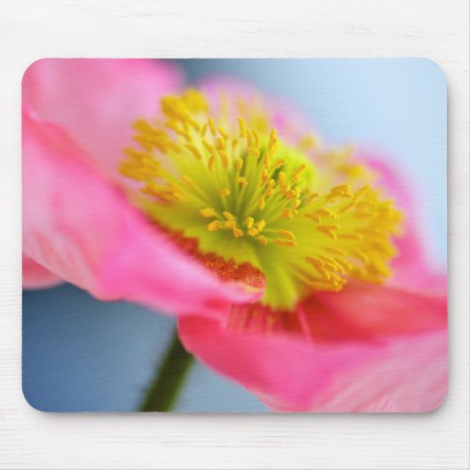 Roze papaver muismat (Voorkant)