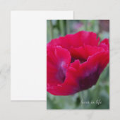 Roze papaver notitiekaartje (Voorkant / Achterkant)