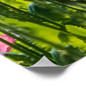 Roze papaver poster (Hoek)