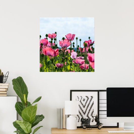 Roze papaver poster (Thuiskantoor)