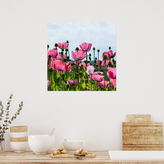 Roze papaver poster (Keuken)