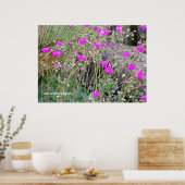 Roze papaver poster (Keuken)