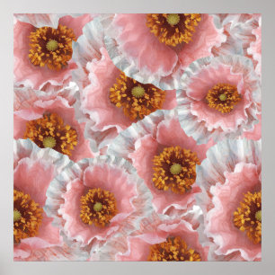 roze papaver poster